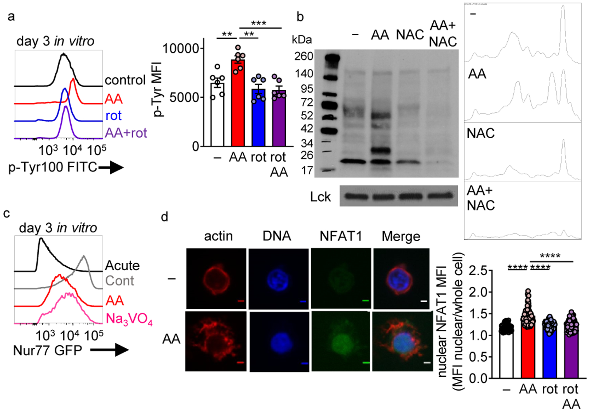 Figure 6: