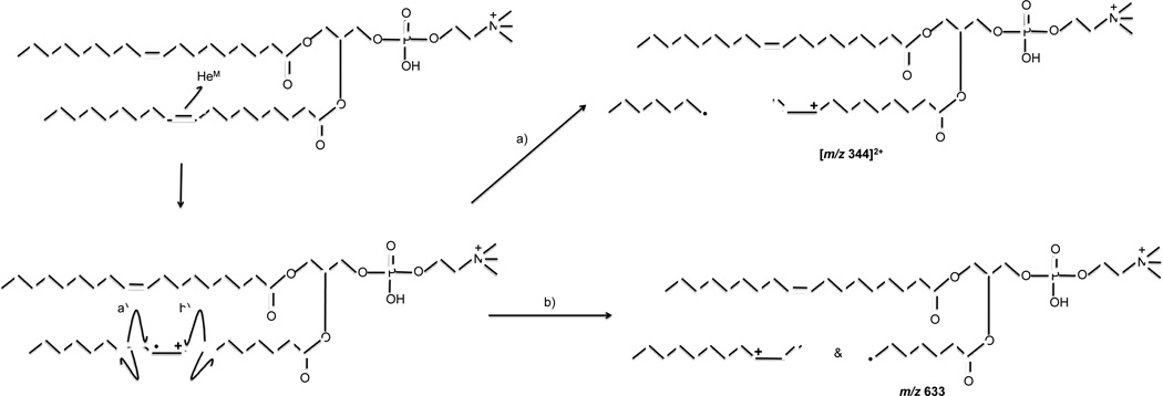 Scheme 2