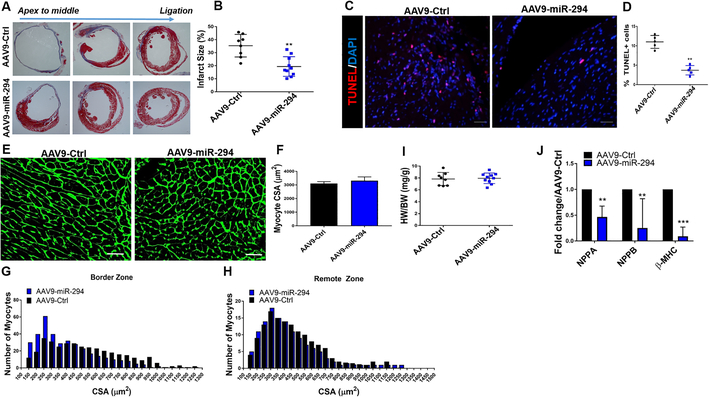 Figure 6: