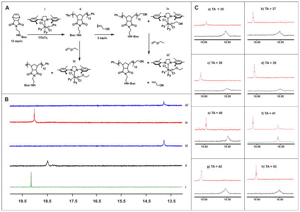 Fig. 8