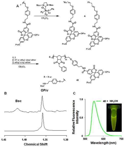 Fig. 12