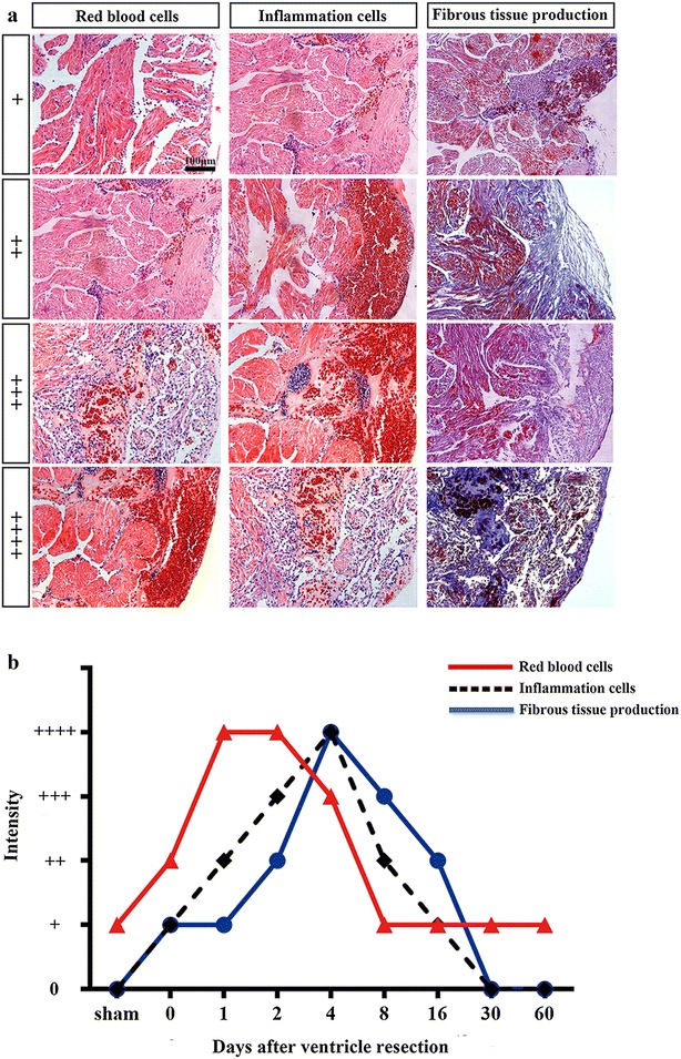 Fig. 8