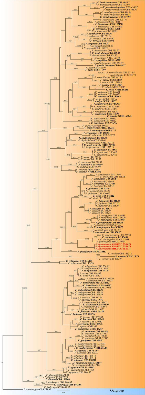 FIGURE 2