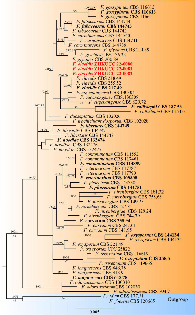 FIGURE 3