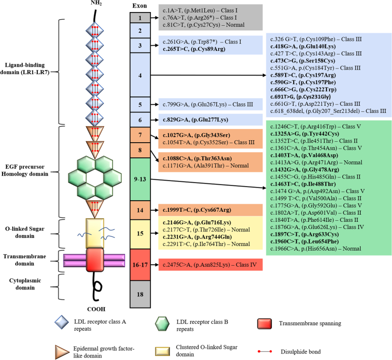 Figure 1