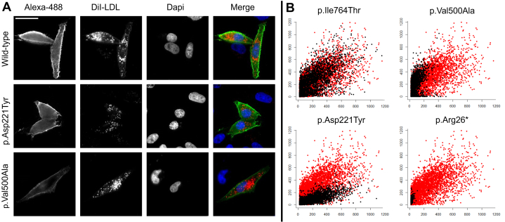 Figure 2