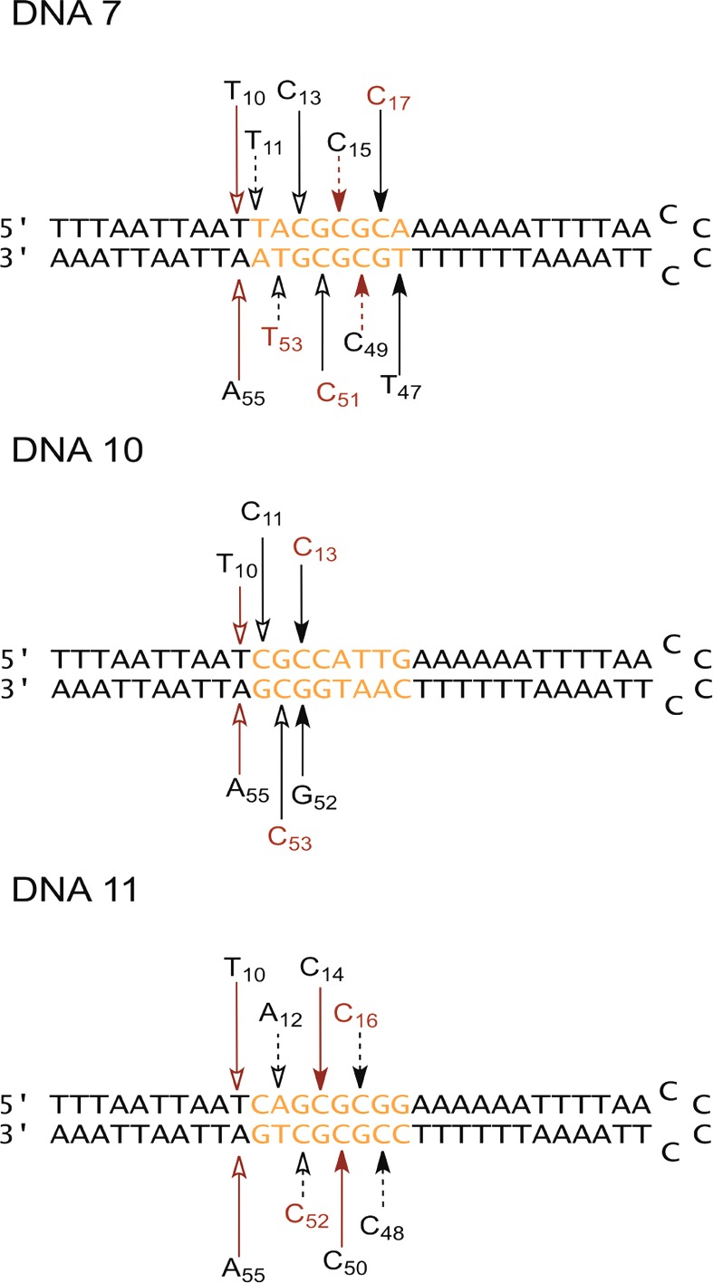 Figure 7