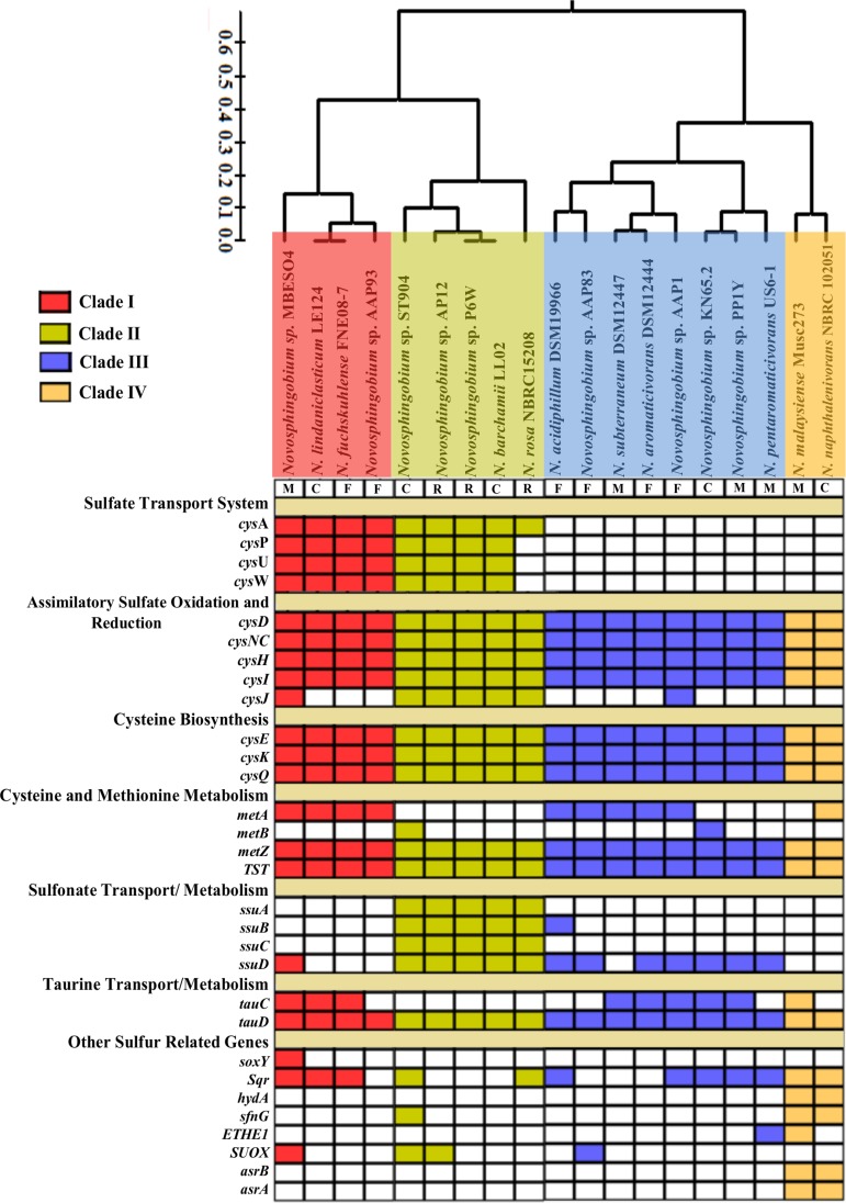 FIG 6 