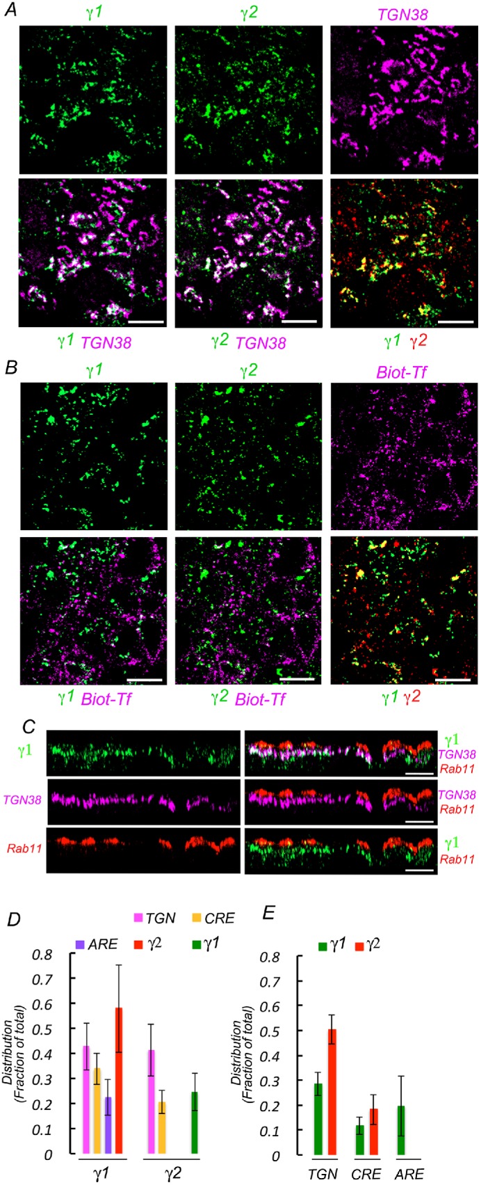 FIGURE 10: