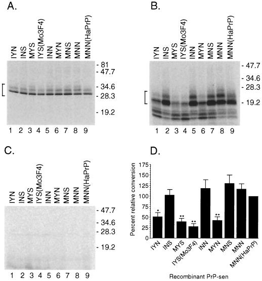 FIG. 3