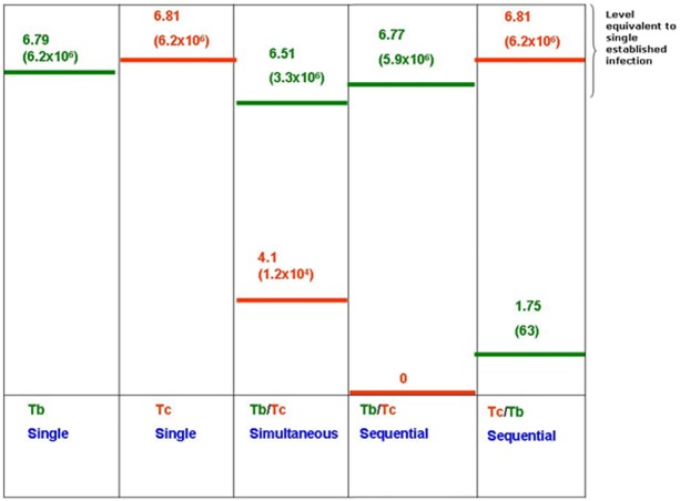 Fig 4