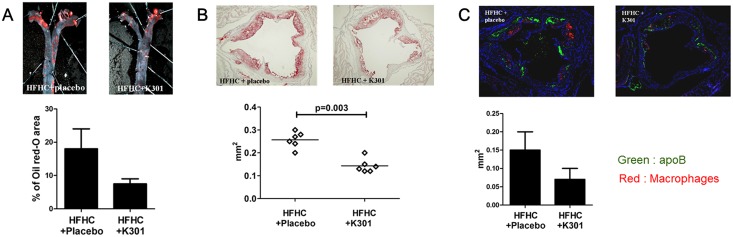 Fig 7