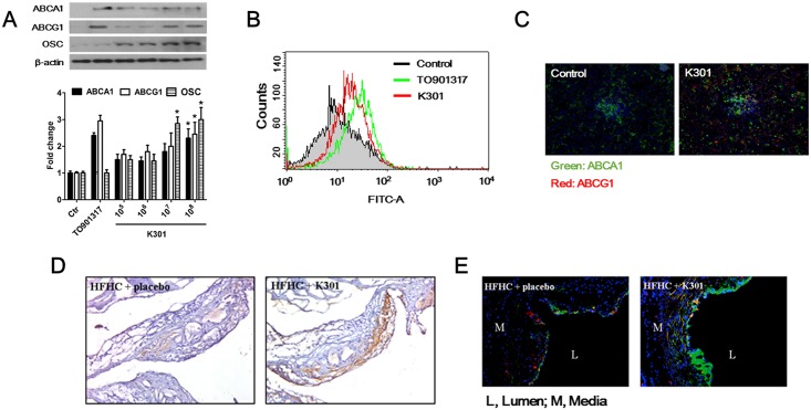 Fig 6