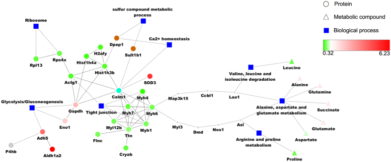 Figure 7