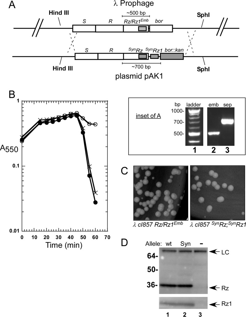 FIG 3