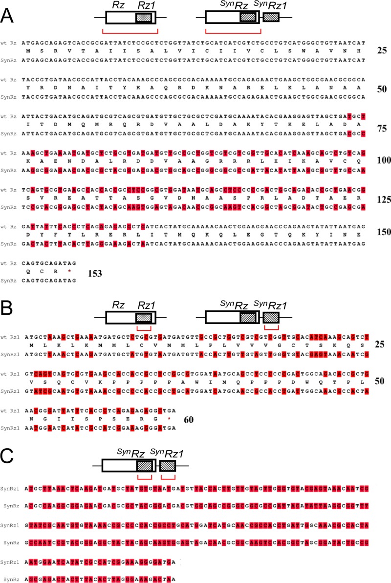 FIG 4