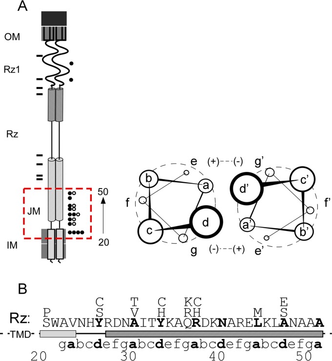 FIG 8