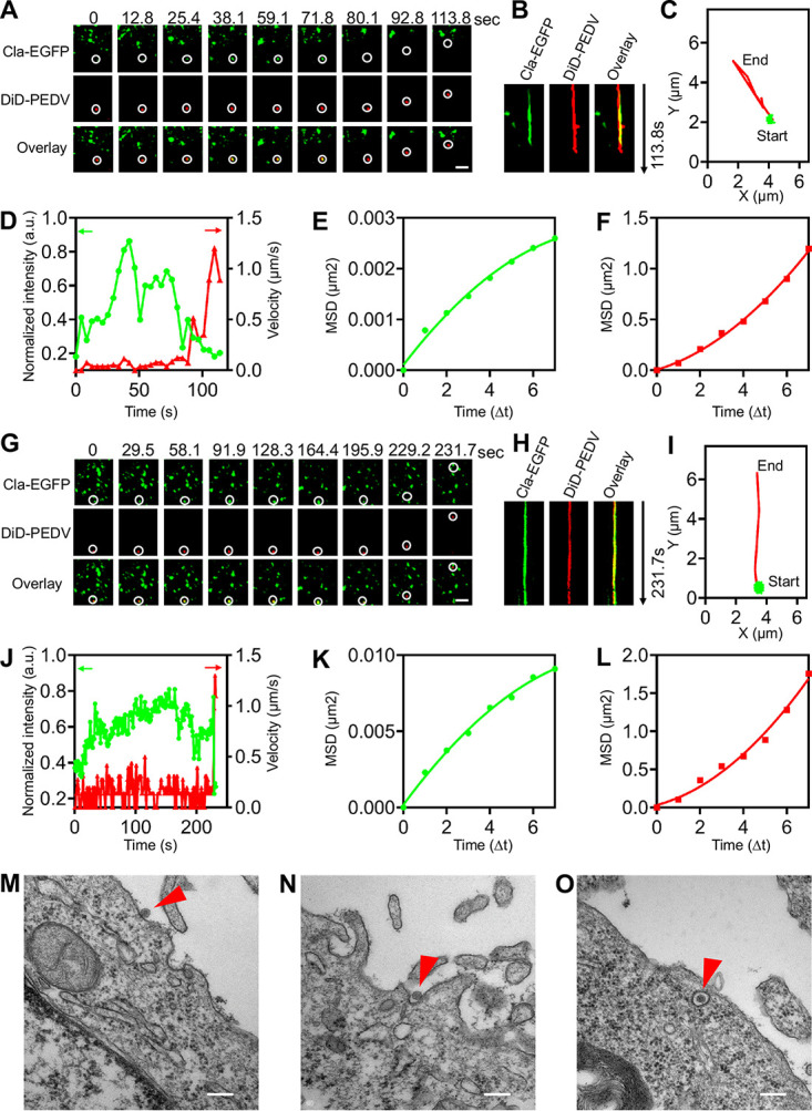 FIG 2