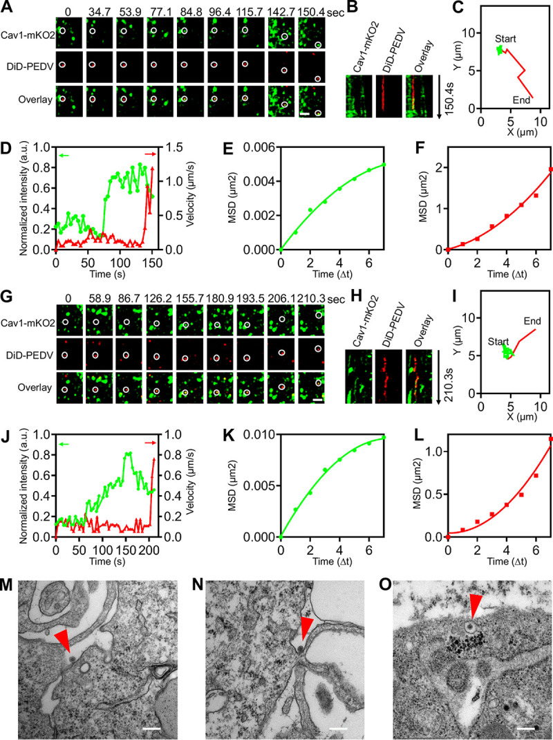 FIG 4