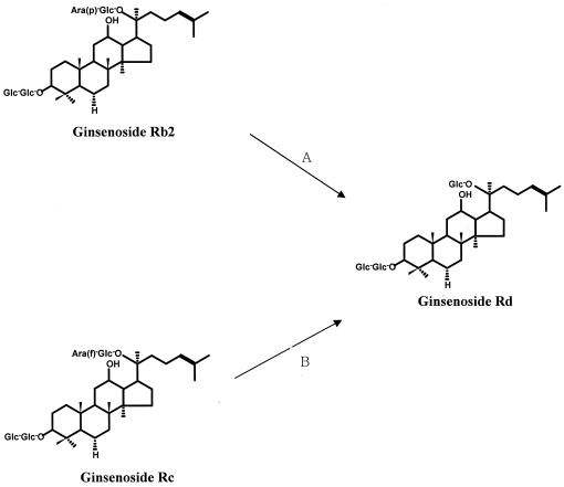 FIG. 5.