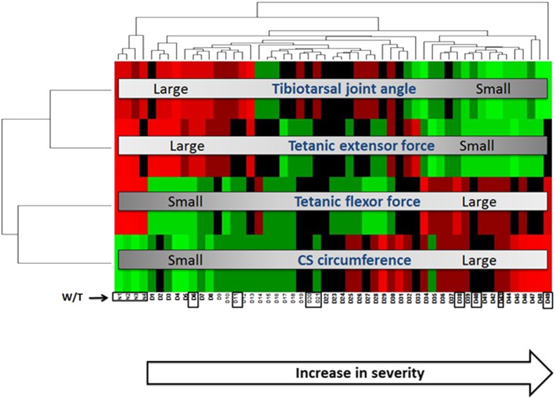 Figure 2