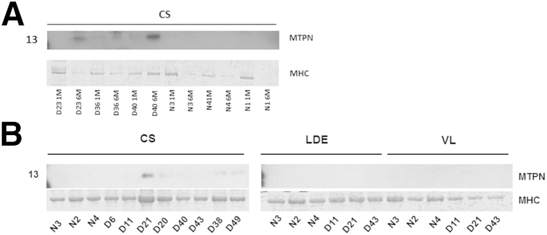 Figure 9