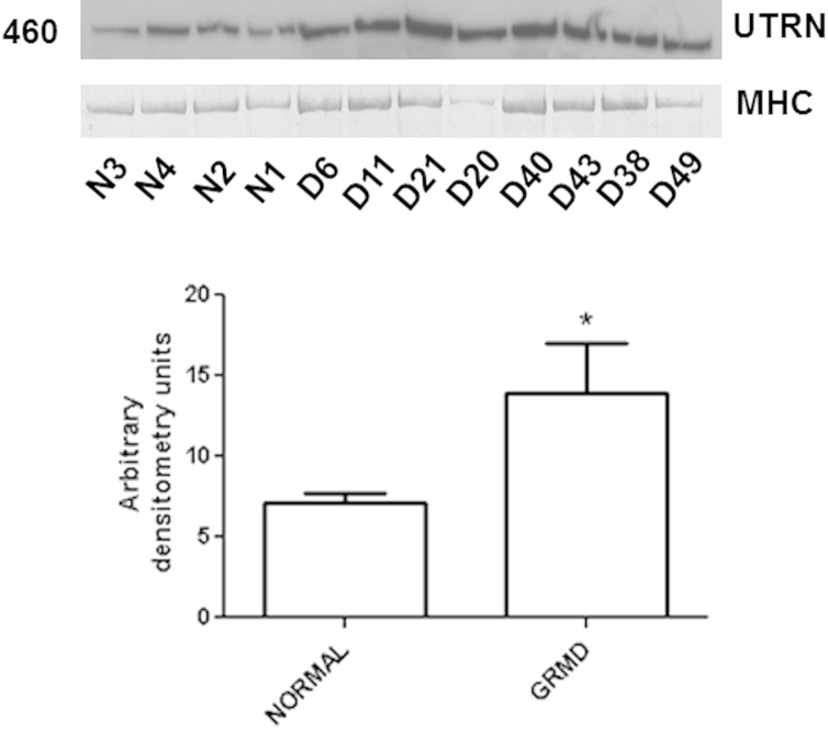 Figure 6