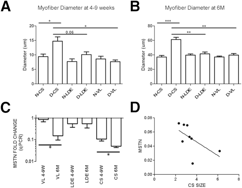 Figure 4