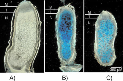 FIG. 7.