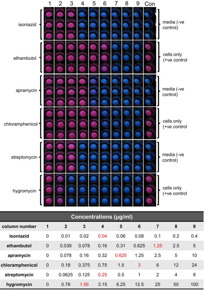 Figure 2