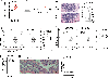 Extended Data Fig. 2