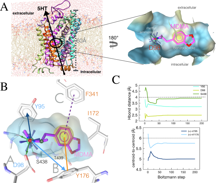 Figure 3