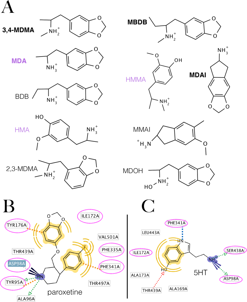 Figure 1