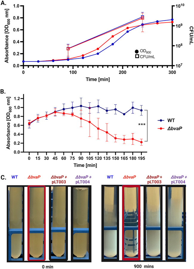 FIG 2