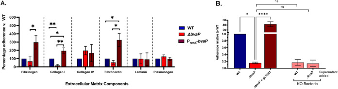 FIG 6