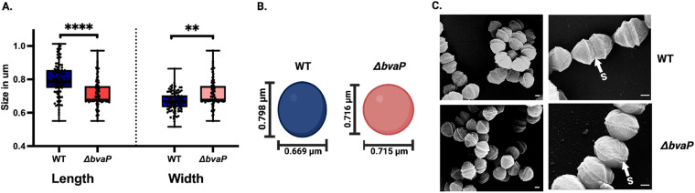 FIG 4