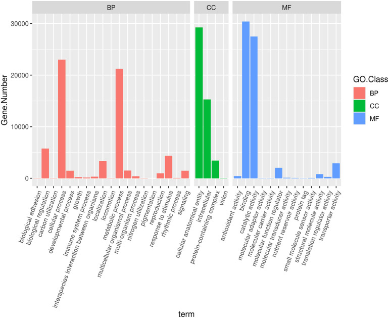 Figure 4