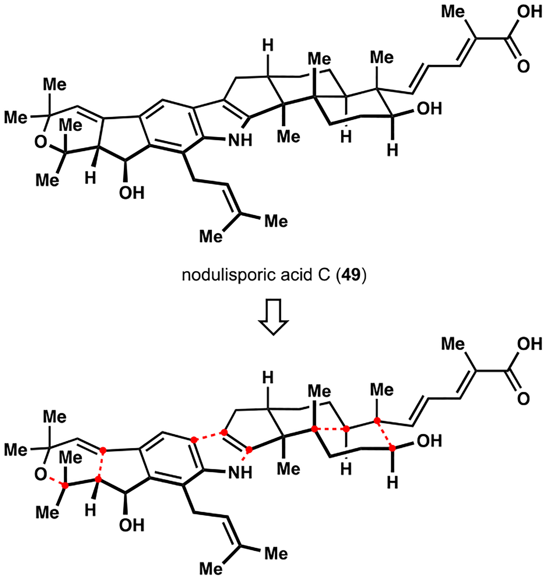 Scheme 6.