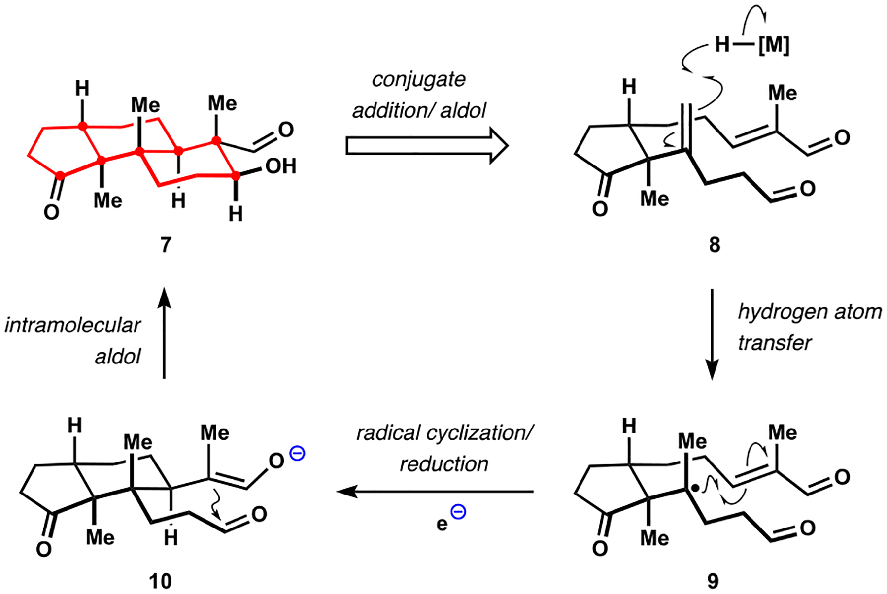 Scheme 2.