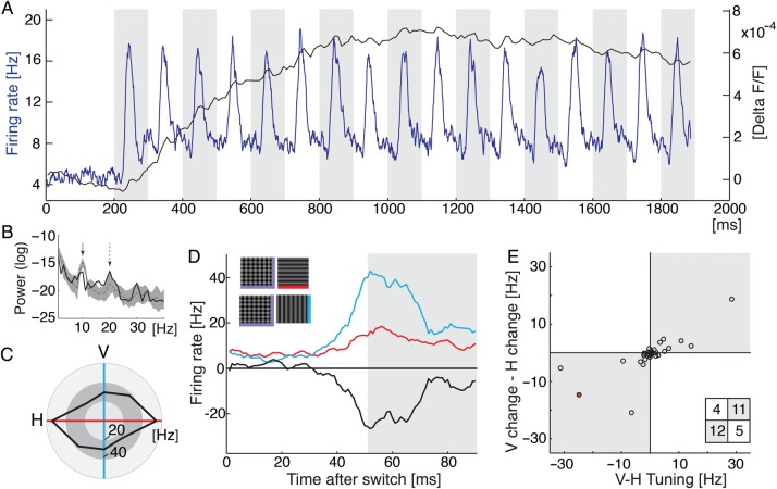 Figure 5.