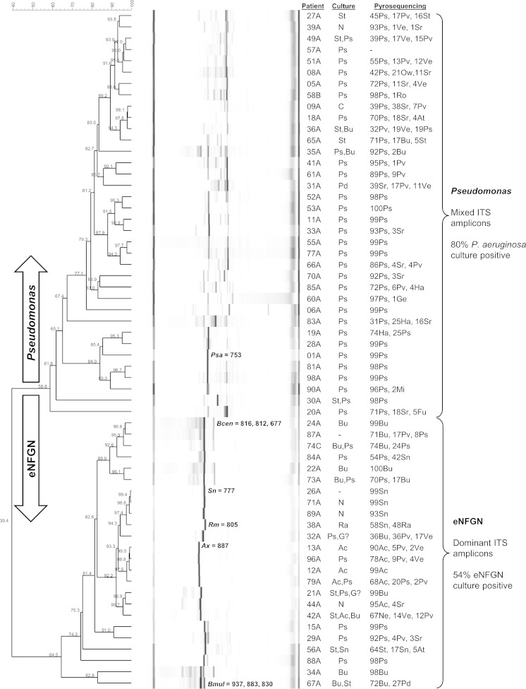 FIG 1