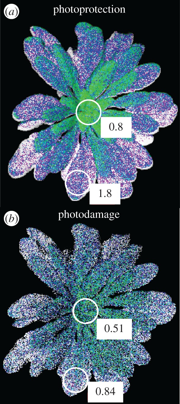 Figure 1.