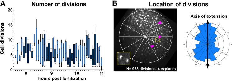 Figure 3—figure supplement 2.