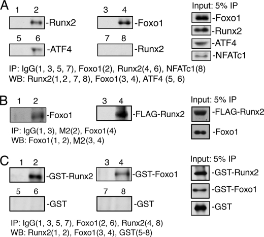 FIGURE 2.