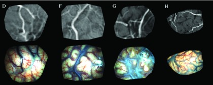 FIG. 2.