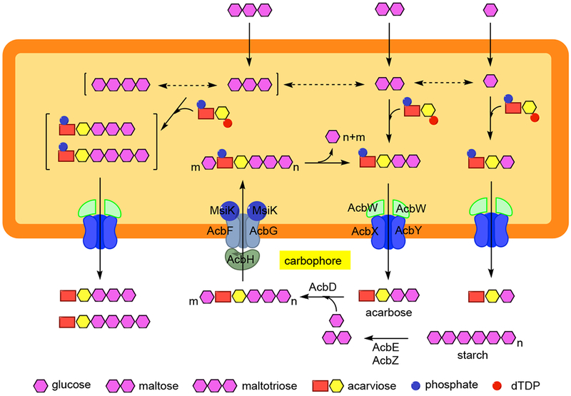Figure 2.