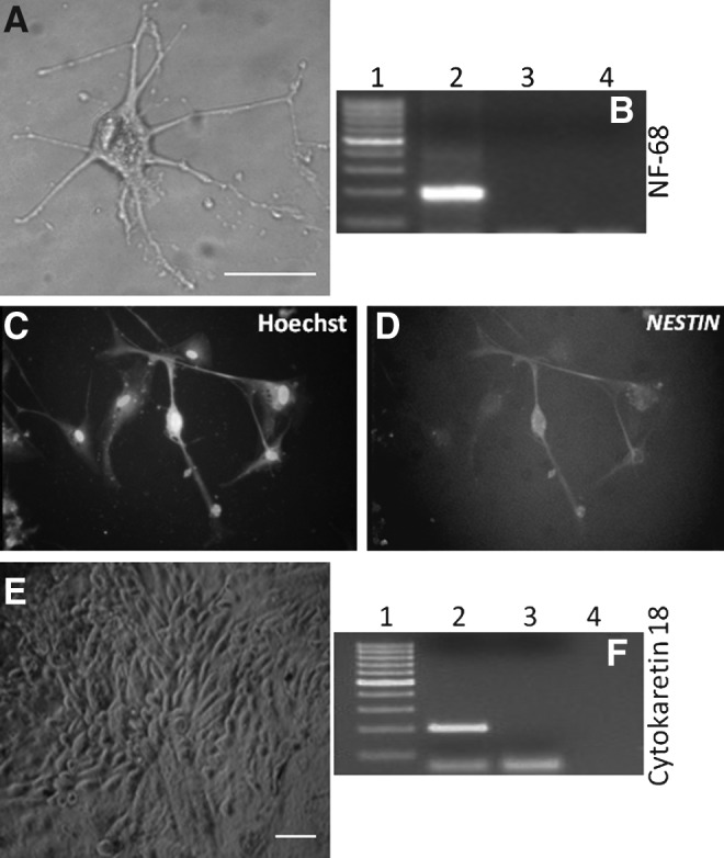 FIG. 7.