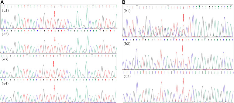 FIGURE 3