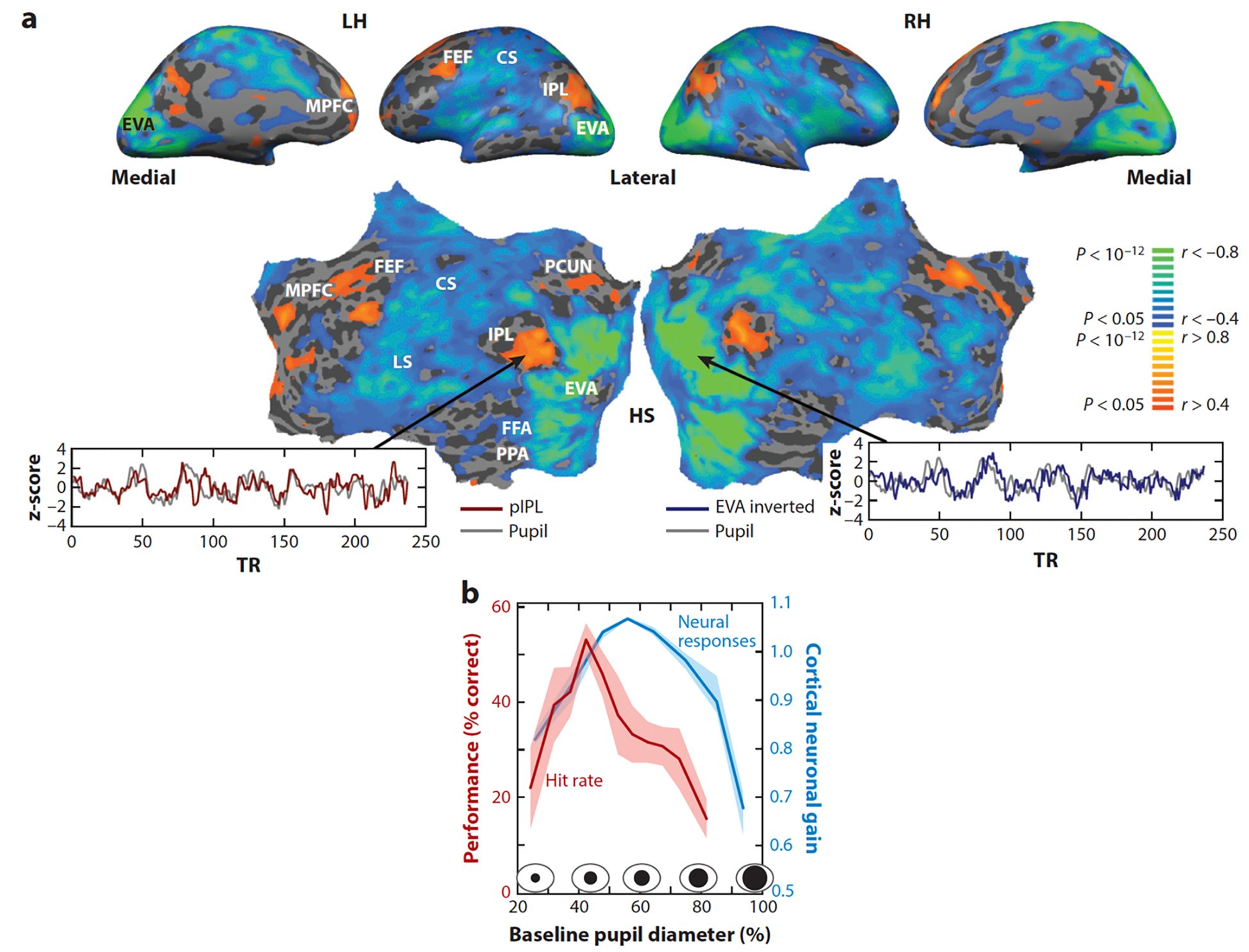 Neuromodulation of Brain State - Nihms 2091252 F0002
