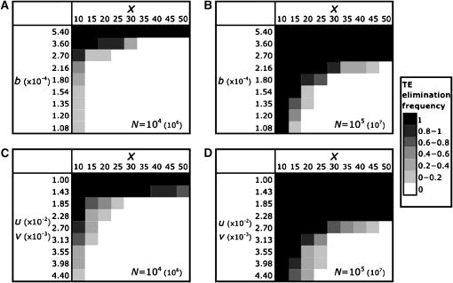 Figure 4.—